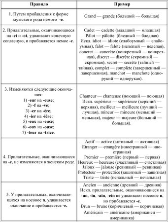 Ирина Солодухина - Грамматика французского языка в таблицах