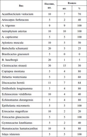 Константин Смирнов - Кактусы в домашней коллекции и под открытым небом