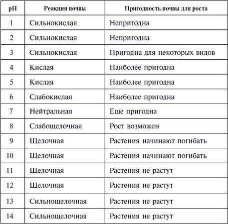 Константин Смирнов - Кактусы в домашней коллекции и под открытым небом