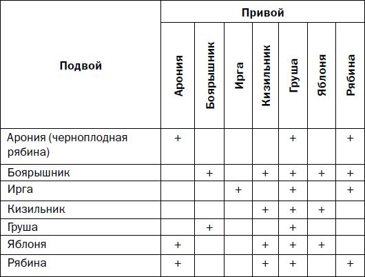 Галина Серикова - Прививка плодовых деревьев: распространенные ошибки и секреты...