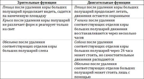 Александр Лурия - Лекции по общей психологии