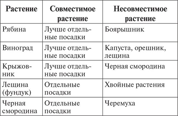 Сергей Кашин - Выращиваем плодородный сад. Любая почва, все регионы