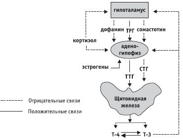 Леонид Рудницкий - Заболевания щитовидной железы: лечение и профилактика