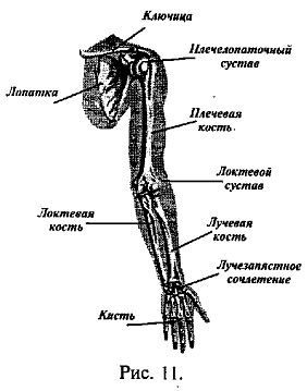 Алексей Кадочников - Русский рукопашный бой по системе выживания