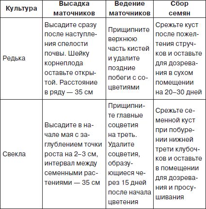 Галина Серикова - Всё о семенах овощных культур