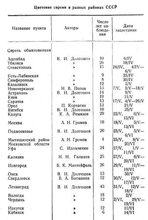 Андрей Громов - Сирень