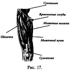 Алексей Кадочников - Русский рукопашный бой по системе выживания