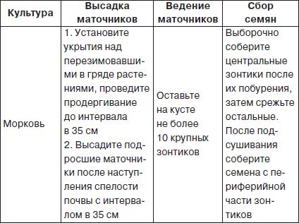 Галина Серикова - Всё о семенах овощных культур