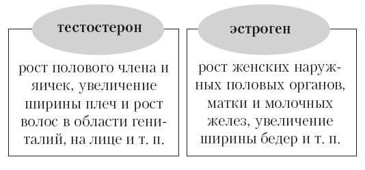 Андрей Курпатов - Ты как-нибудь так... (основы безопасности половой...