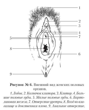 Андрей Курпатов - Ты как-нибудь так... (основы безопасности половой...