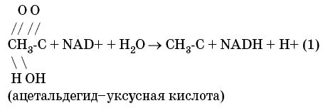 Сборник статей - Библия и наука