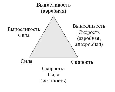 Олег Лапшин - Теория и методика подготовки юных футболистов