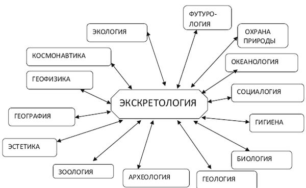 Вадим Романов - Начала экскретологии