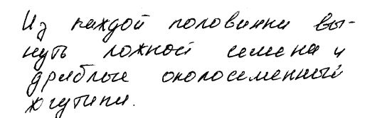 Антонина Соколова - Графология - ключ к характеру