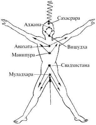 Дмитрий Верищагин - Влияние