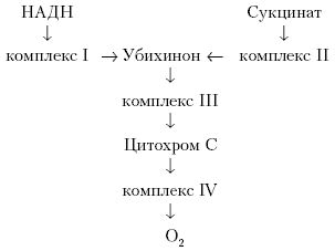 Олег Кулиненков - Фармакологическая помощь спортсмену: коррекция факторов,...