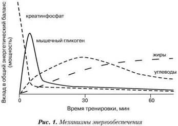 Олег Кулиненков - Фармакологическая помощь спортсмену: коррекция факторов,...