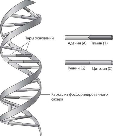 Бет Шапиро - Наука воскрешения видов. Как клонировать мамонта