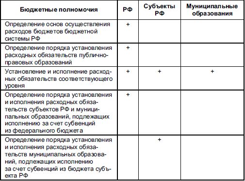 Виталий Федосов - Бюджетная система Российской Федерации