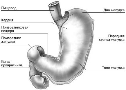 Людмила Рудницкая - Болезни желудка и кишечника: лечение и очищение