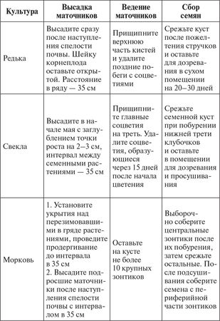 Сергей Кашин - Овощи, ягоды, фрукты. Умная рассада и бережное хранение