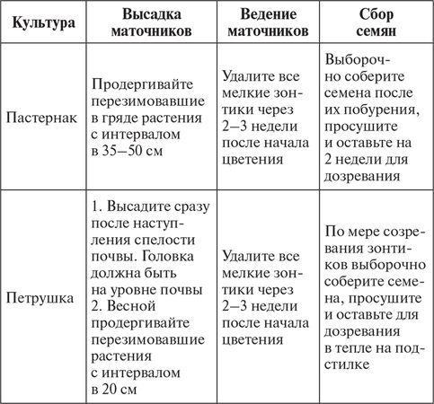 Сергей Кашин - Овощи, ягоды, фрукты. Умная рассада и бережное хранение