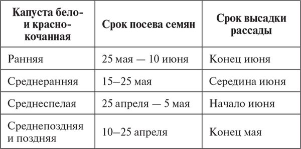 Сергей Кашин - Овощи, ягоды, фрукты. Умная рассада и бережное хранение