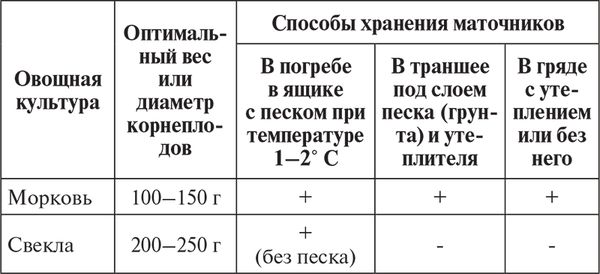 Сергей Кашин - Овощи, ягоды, фрукты. Умная рассада и бережное хранение