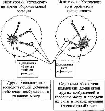 Андрей Курпатов - Как избавиться от тревоги, депрессии и раздражительности