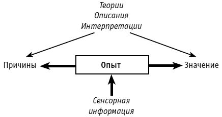 Роберт Дилтс - Фокусы языка. Изменение убеждений с помощью НЛП