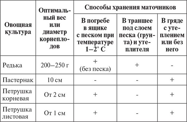 Сергей Кашин - Овощи, ягоды, фрукты. Умная рассада и бережное хранение