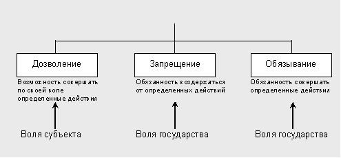 Денис Шевчук - Свой бизнес: создание собственной фирмы