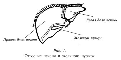 Александра Васильева - Болезни печени. Самые эффективные методы лечения