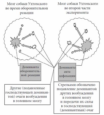 Андрей Курпатов - 3 главных открытия психологии. Как управлять собой и своей жизнью