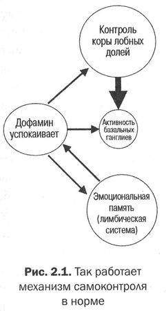 Дэниел Амен - Измени свой мозг - изменится и тело!