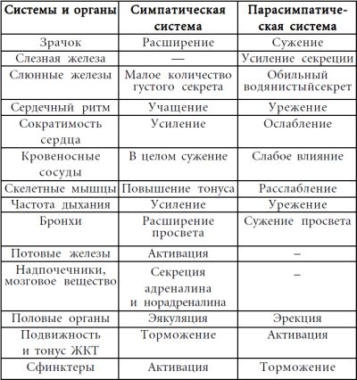 Андрей Курпатов - 4 страшных тайны. Паническая атака и невроз сердца