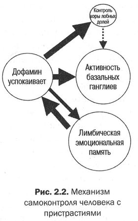 Дэниел Амен - Измени свой мозг - изменится и тело!