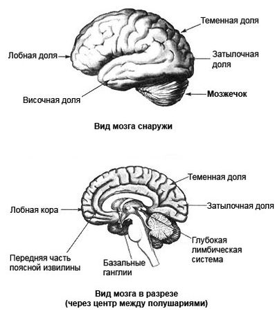 Дэниел Амен - Измени свой мозг - изменится и тело!