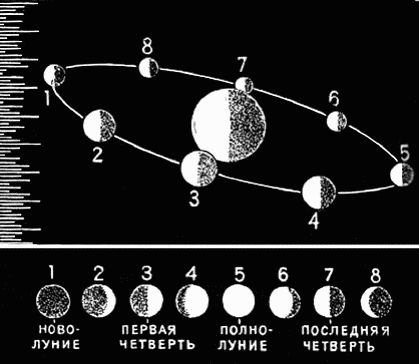 Нурбей Гулиа - Удивительная физика