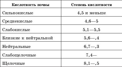 Евгений Банников - Дача. Что и как можно вырастить?