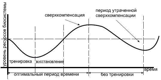 Андрей Макурин - Продуманный тренинг