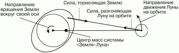 Нурбей Гулиа - Физика: Парадоксальная механика в вопросах и ответах