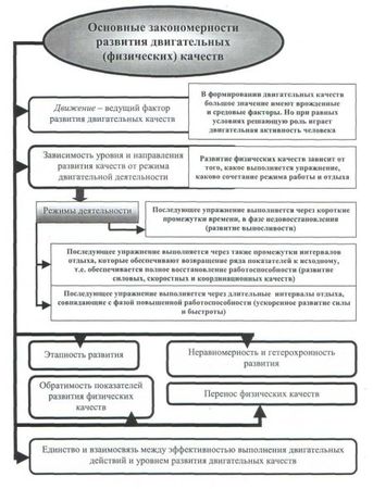 Евгений Головихин, Сергей Степанов - Теоретические и методические основы...