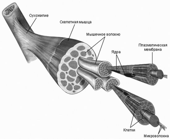 Андрей Макурин - Продуманный тренинг