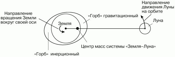 Нурбей Гулиа - Физика: Парадоксальная механика в вопросах и ответах