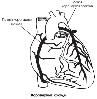 Константин Крулев - Заболевания сердца и сосудов. Профилактика и лечение