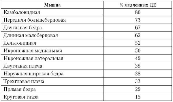 Вячеслав Шляхтов, Руслан Городничев - Физиология силы