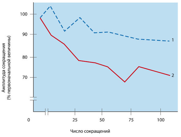 Вячеслав Шляхтов, Руслан Городничев - Физиология силы