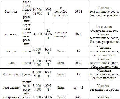 Илья Мельников - Теплица, парник, зимний сад