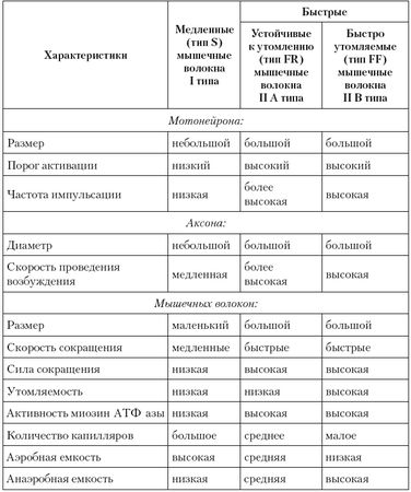 Вячеслав Шляхтов, Руслан Городничев - Физиология силы